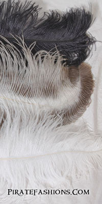 Large Ostrich Feather Color Options: Black, Natural, and White