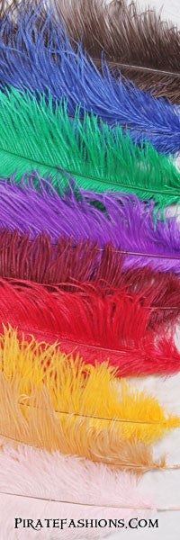 Medium Ostrich Plumes Color Options: Brown, Blue, Green, Purple, Burgundy, Red, Yellow, Orange, Pink