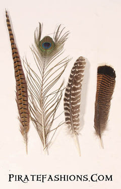 Misc Feathers - Pirate Fashions